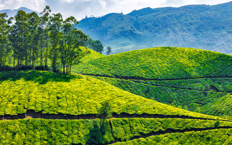 Munnar